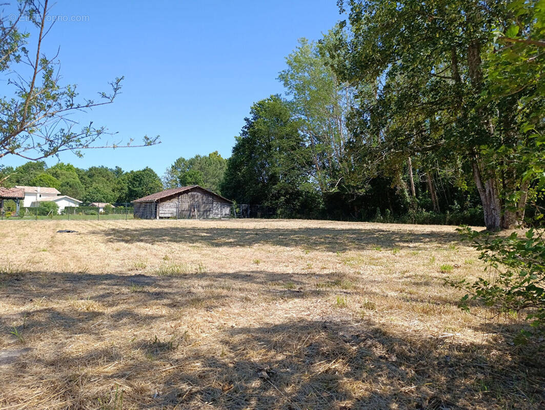 Terrain à LINXE
