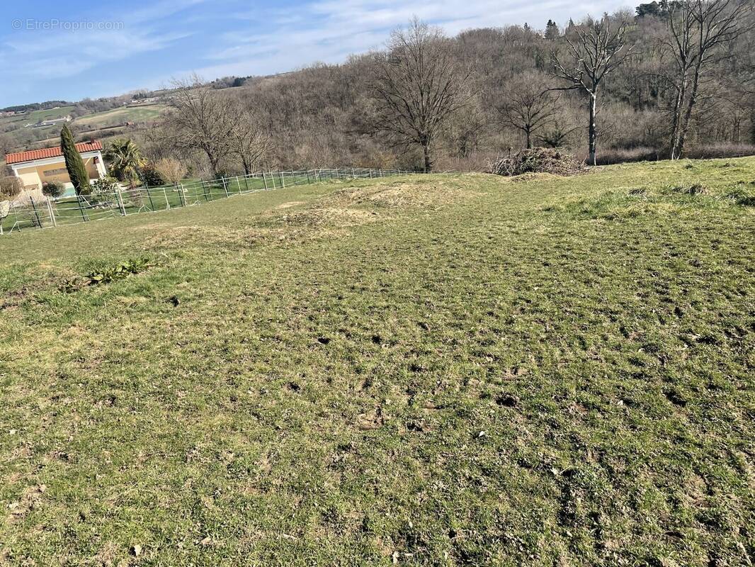 Terrain à CUSSET
