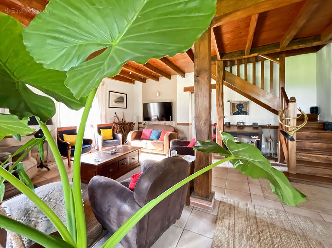 Maison à REALVILLE