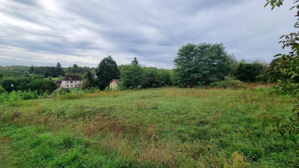 Terrain à LA DOUZE