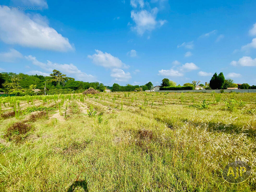 Terrain à SAINT-GERMAIN-D&#039;ESTEUIL