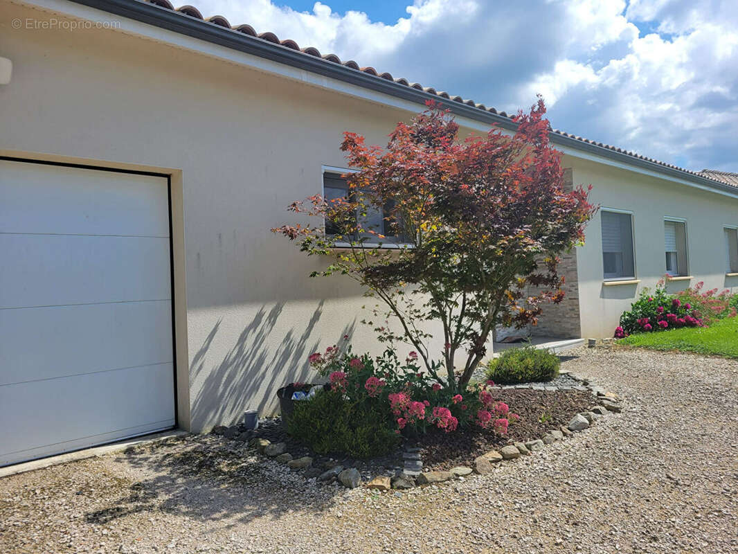 Maison à FRONTON