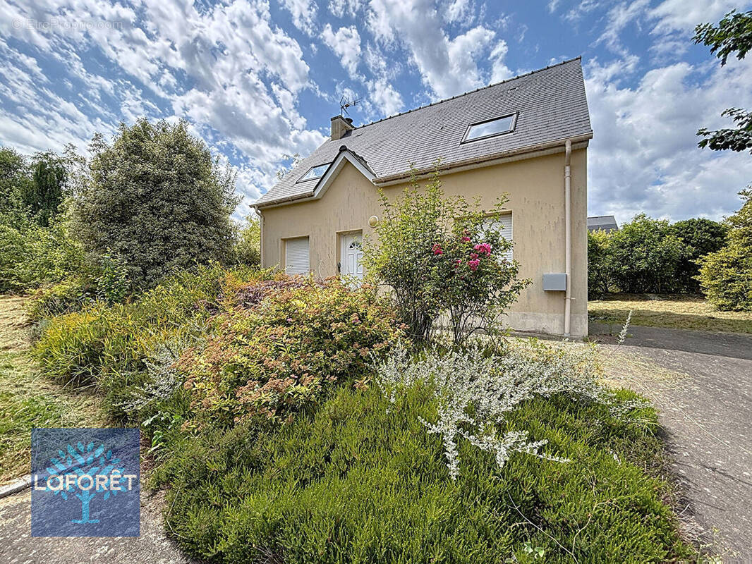 Maison à LOUVIGNE-DU-DESERT