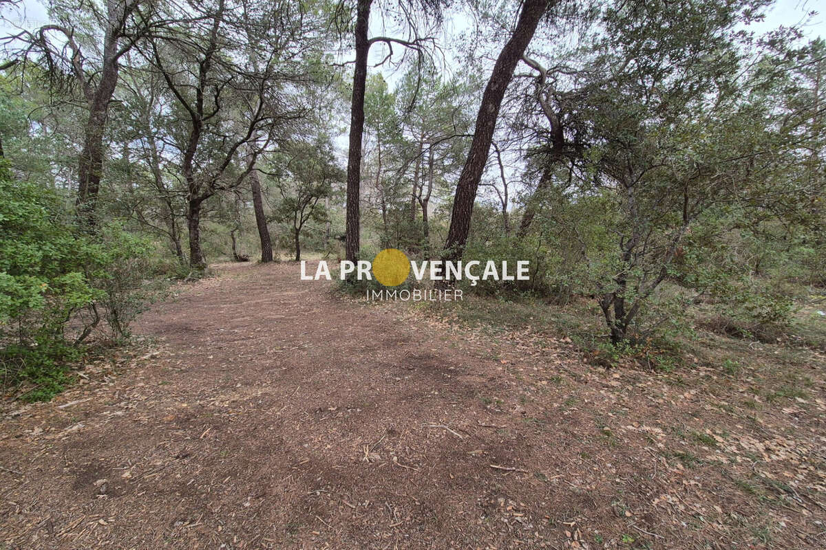 Terrain à NANS-LES-PINS