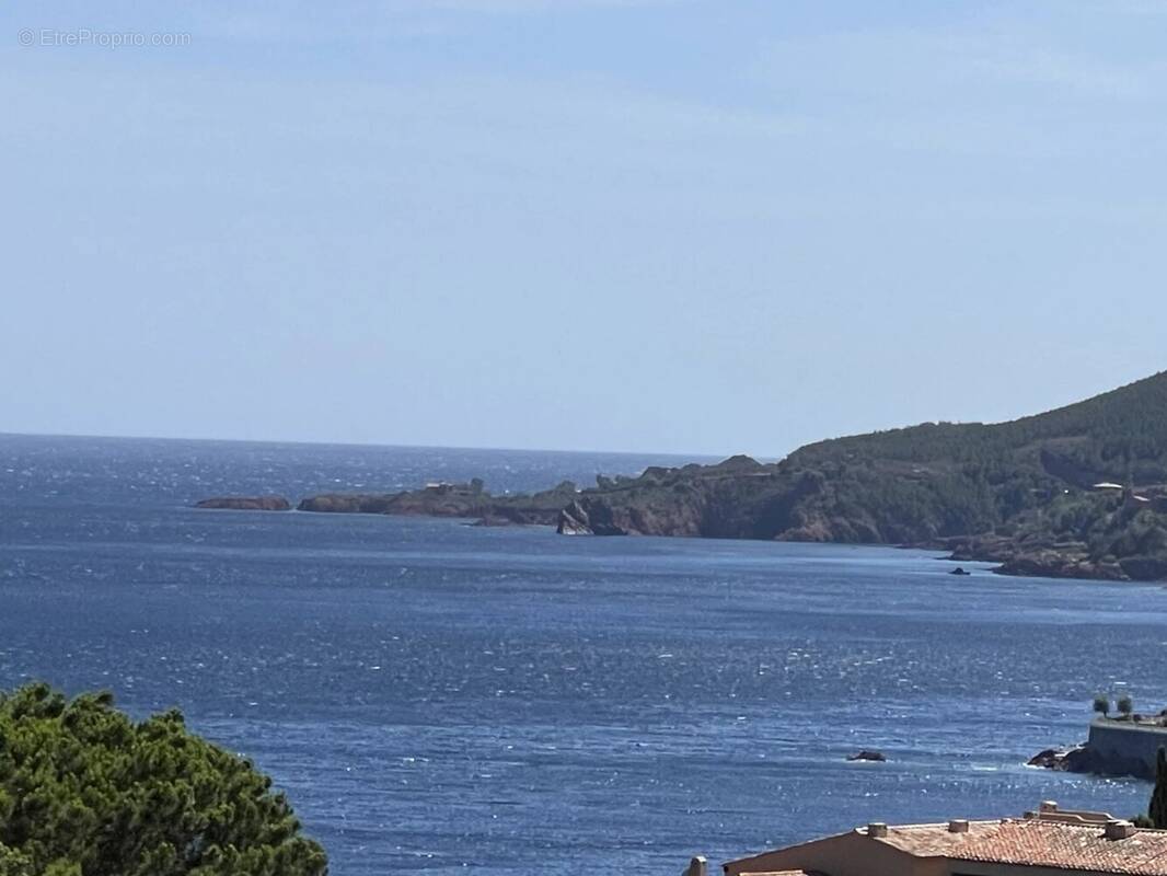 Appartement à THEOULE-SUR-MER