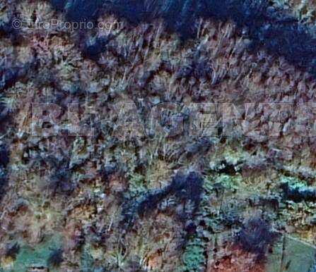 Photo Google - Terrain à VILLENEUVE-LE-COMTE
