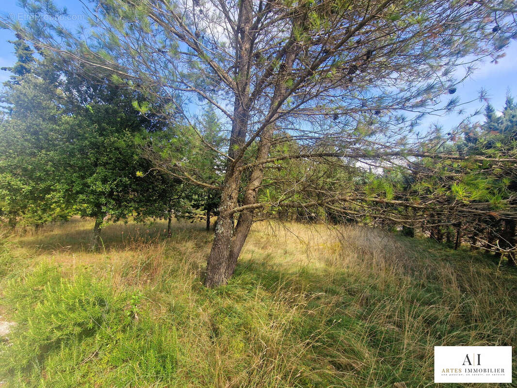 Terrain à LE TEIL