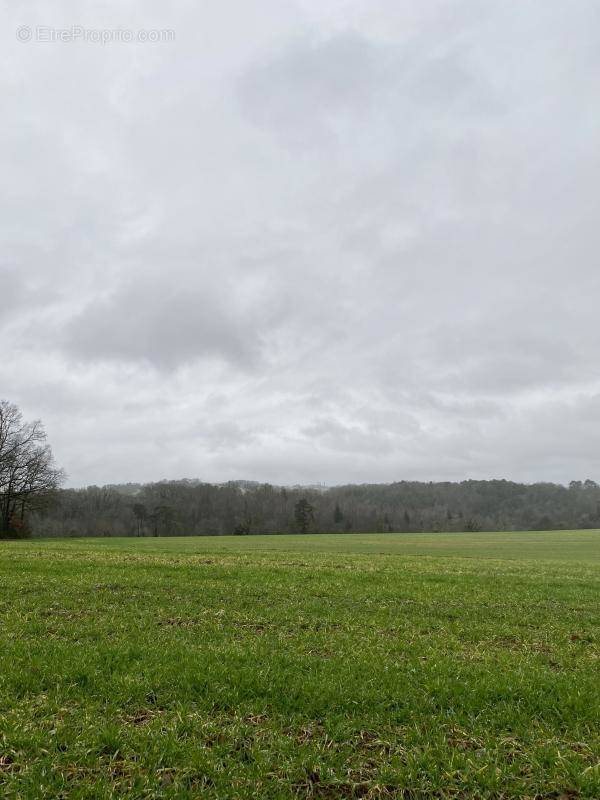Terrain à BASSILLAC