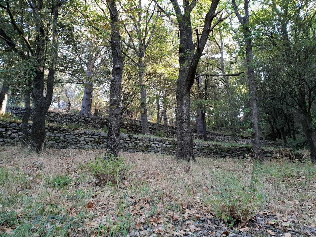 Terrain à OLARGUES