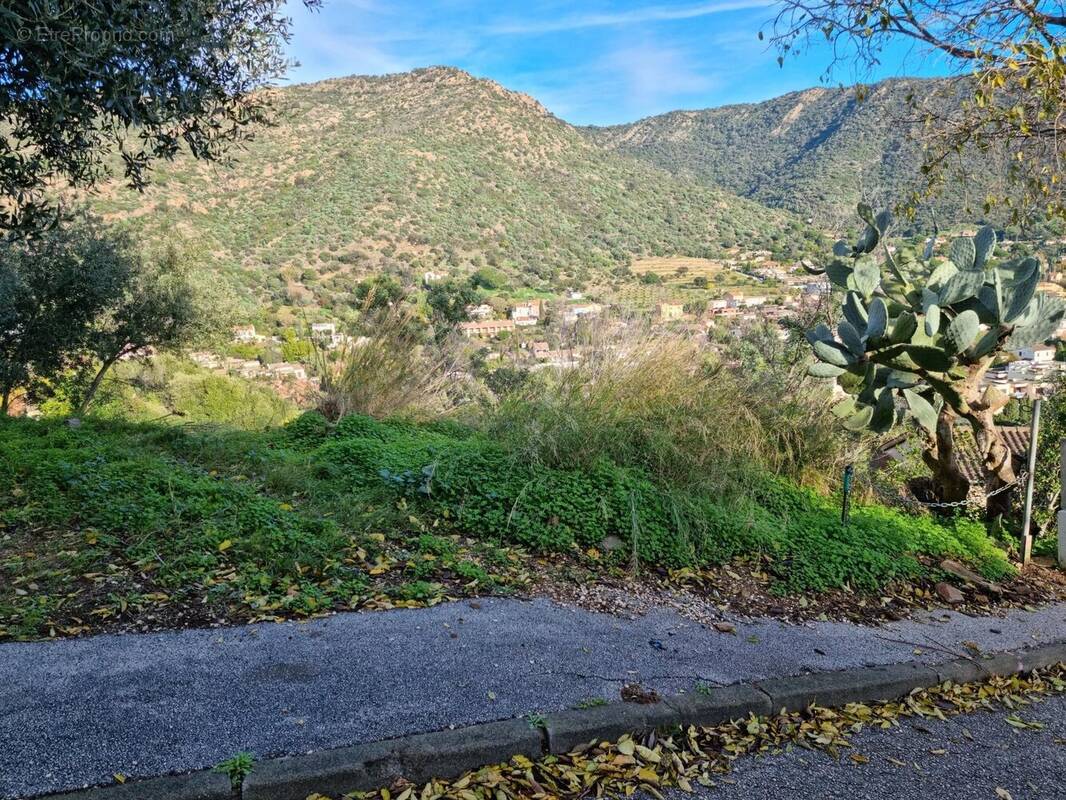 Terrain à LE LAVANDOU