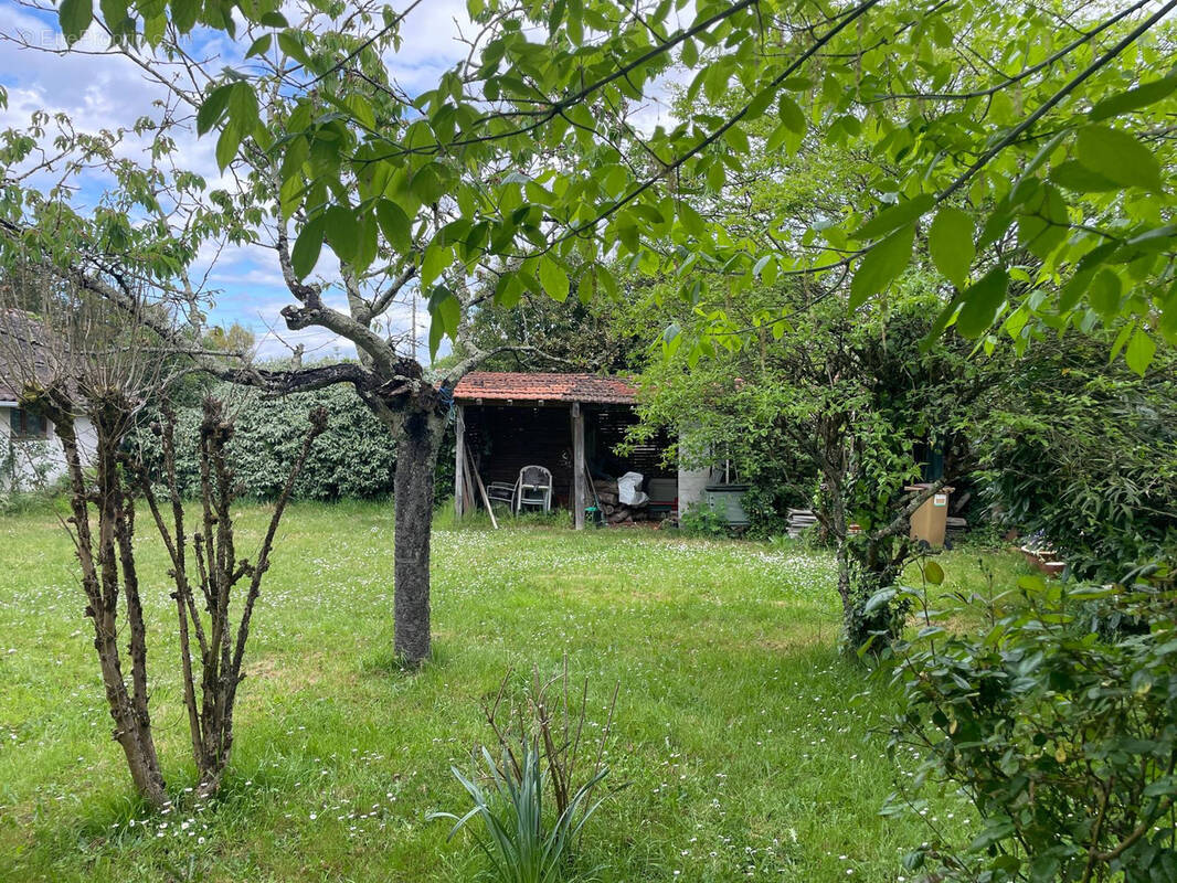 Maison à LE BOUSCAT