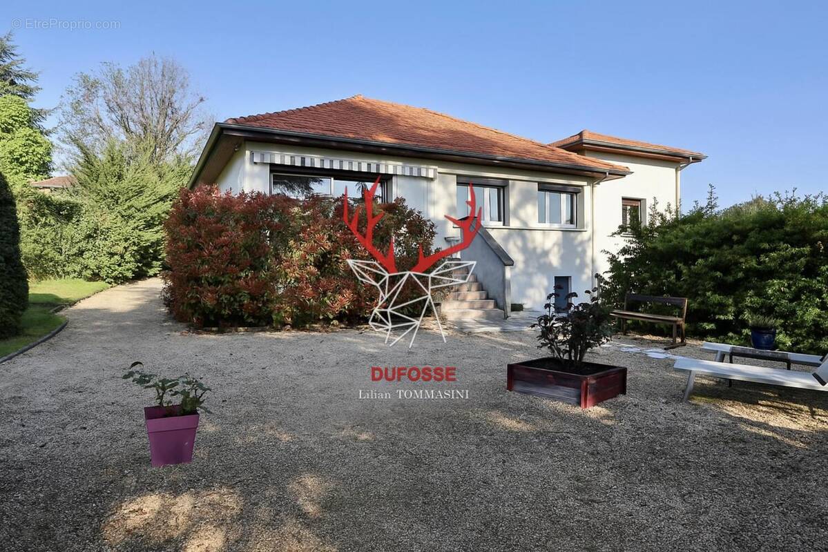 Photo 1 - Maison à LA TOUR-DE-SALVAGNY
