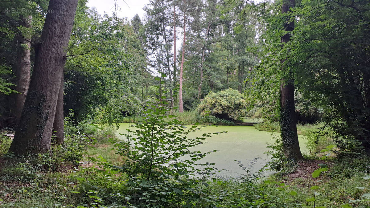 Terrain à CHEVREUSE