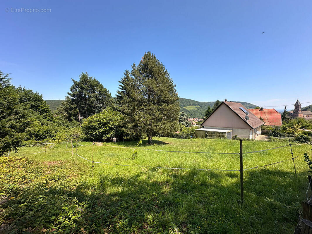 Terrain à BUHL