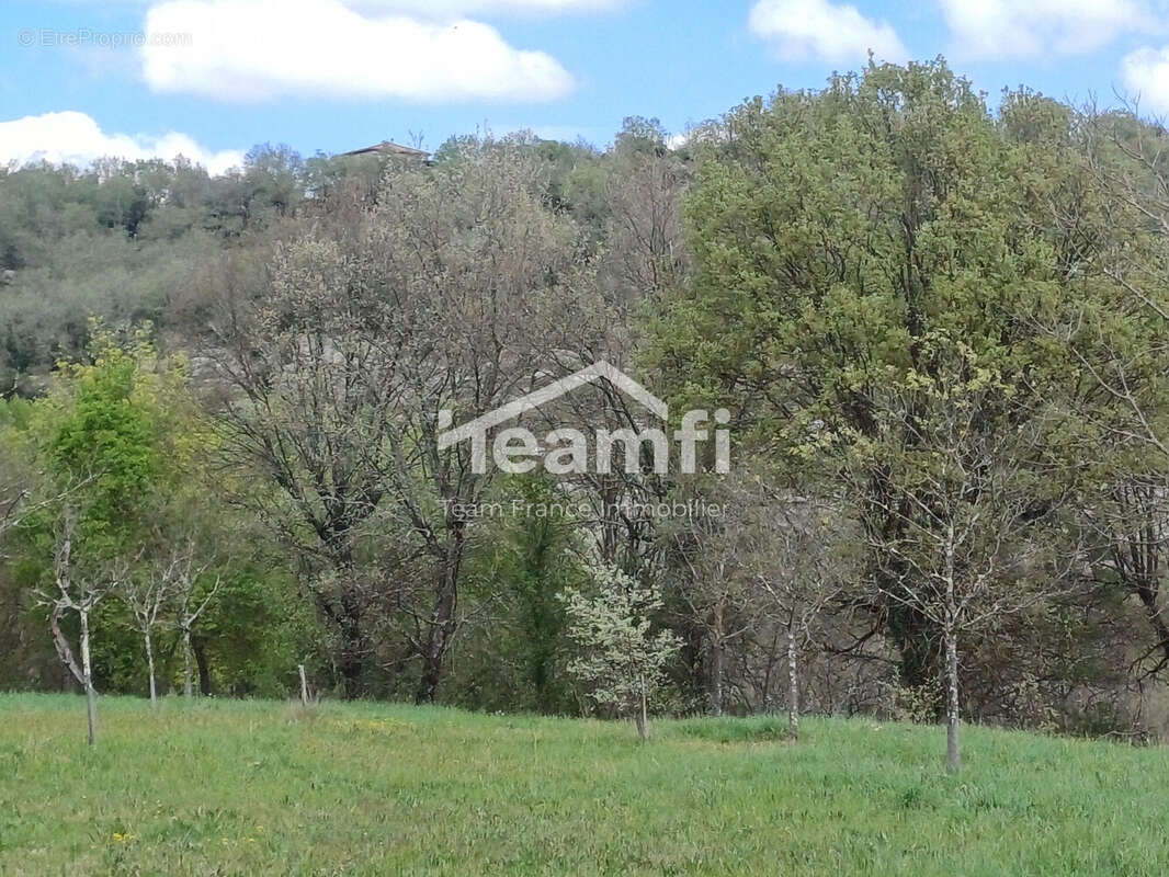 Terrain à BERRIAS-ET-CASTELJAU