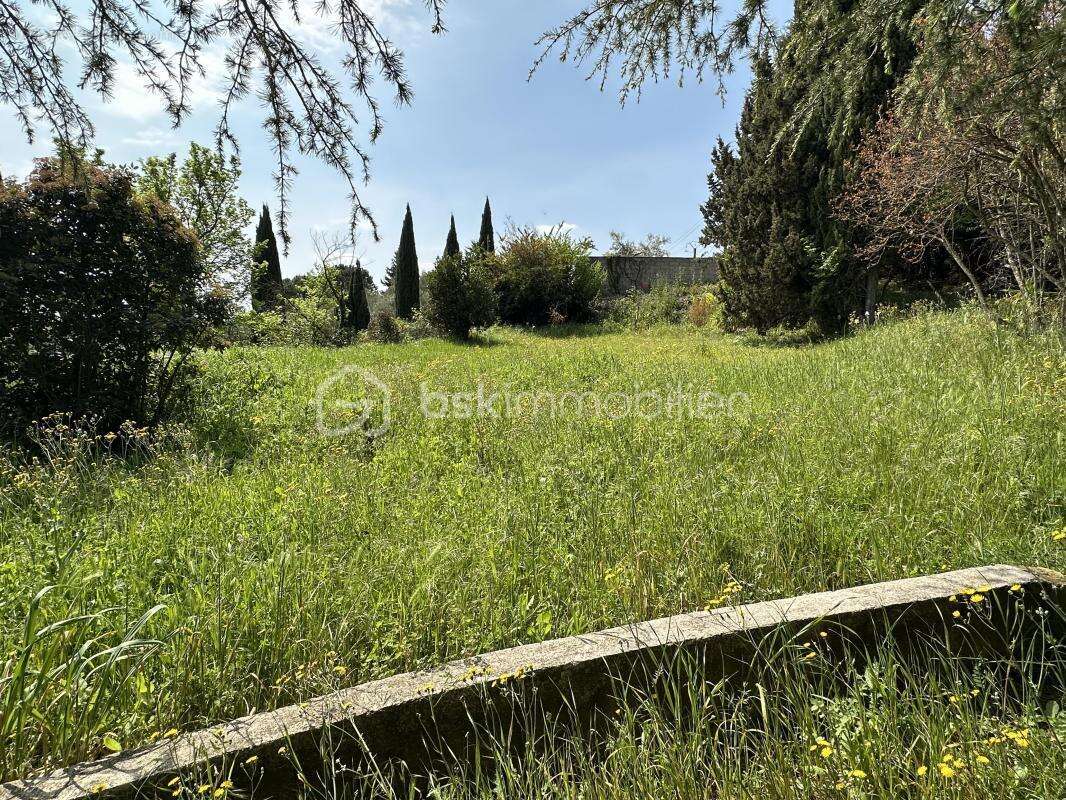 Terrain à MONTFRIN