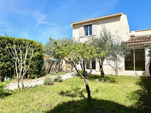 Maison à VAISON-LA-ROMAINE