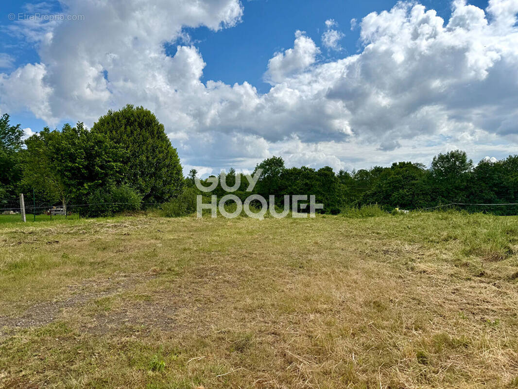 Terrain à SAINT-JAMES