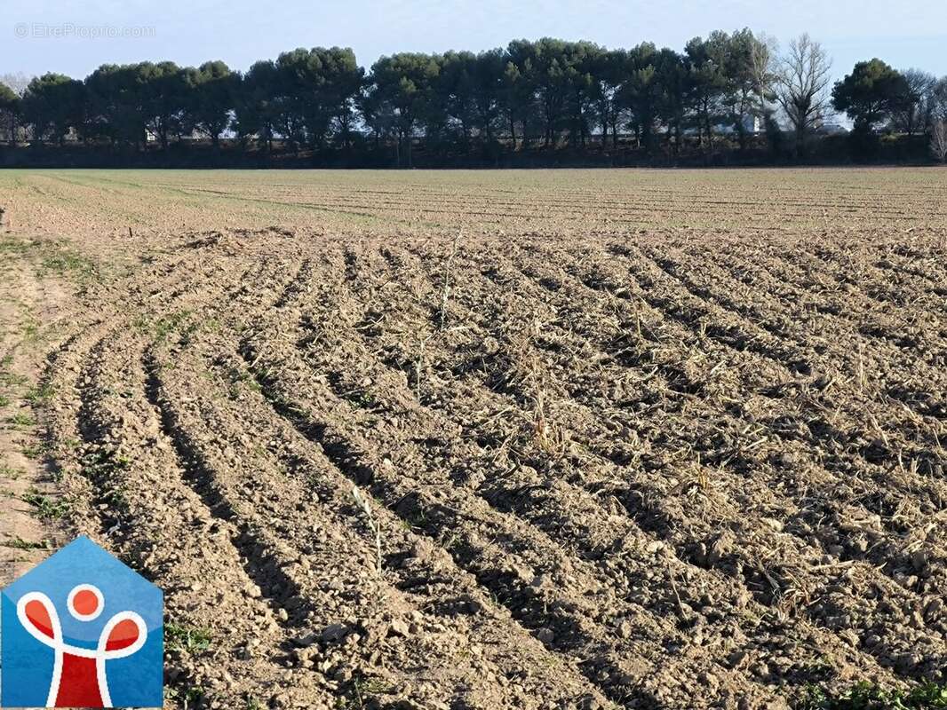 Terrain à VILLENEUVE-LES-BEZIERS