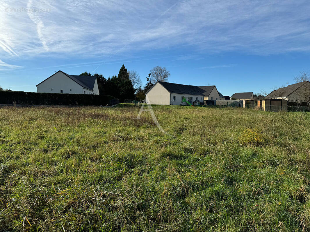 Terrain à ROMORANTIN-LANTHENAY