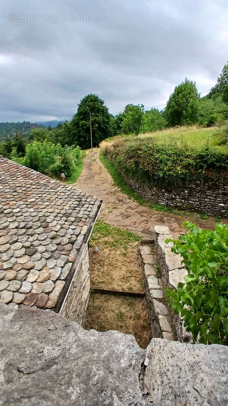 Maison à SAINT-FREZAL-DE-VENTALON