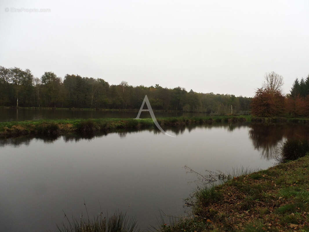 Terrain à LAMOTTE-BEUVRON