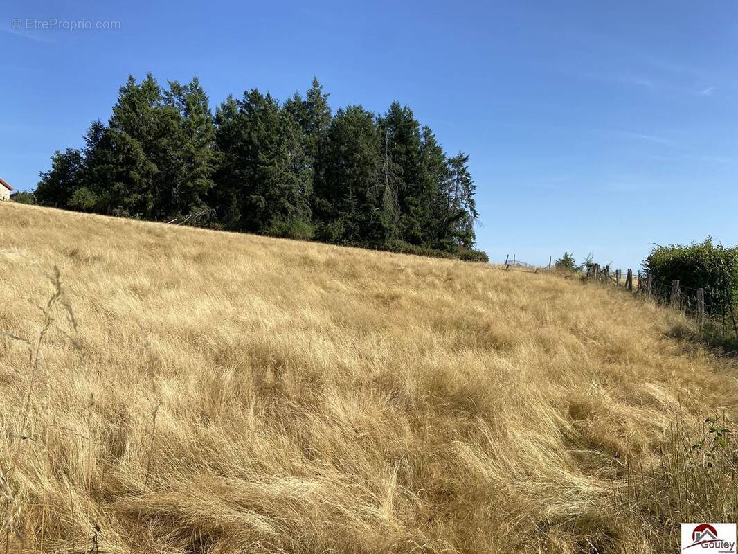 Terrain à SAINT-HAON-LE-CHATEL