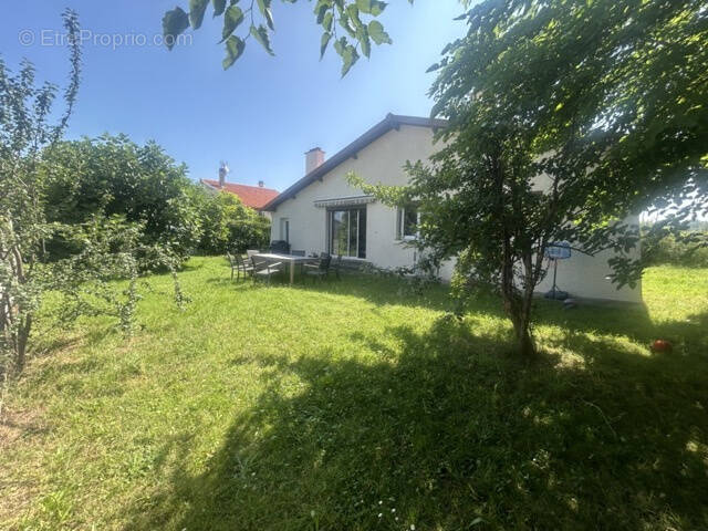 Maison à MURET