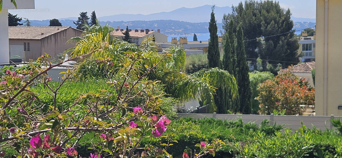 Maison à BANDOL