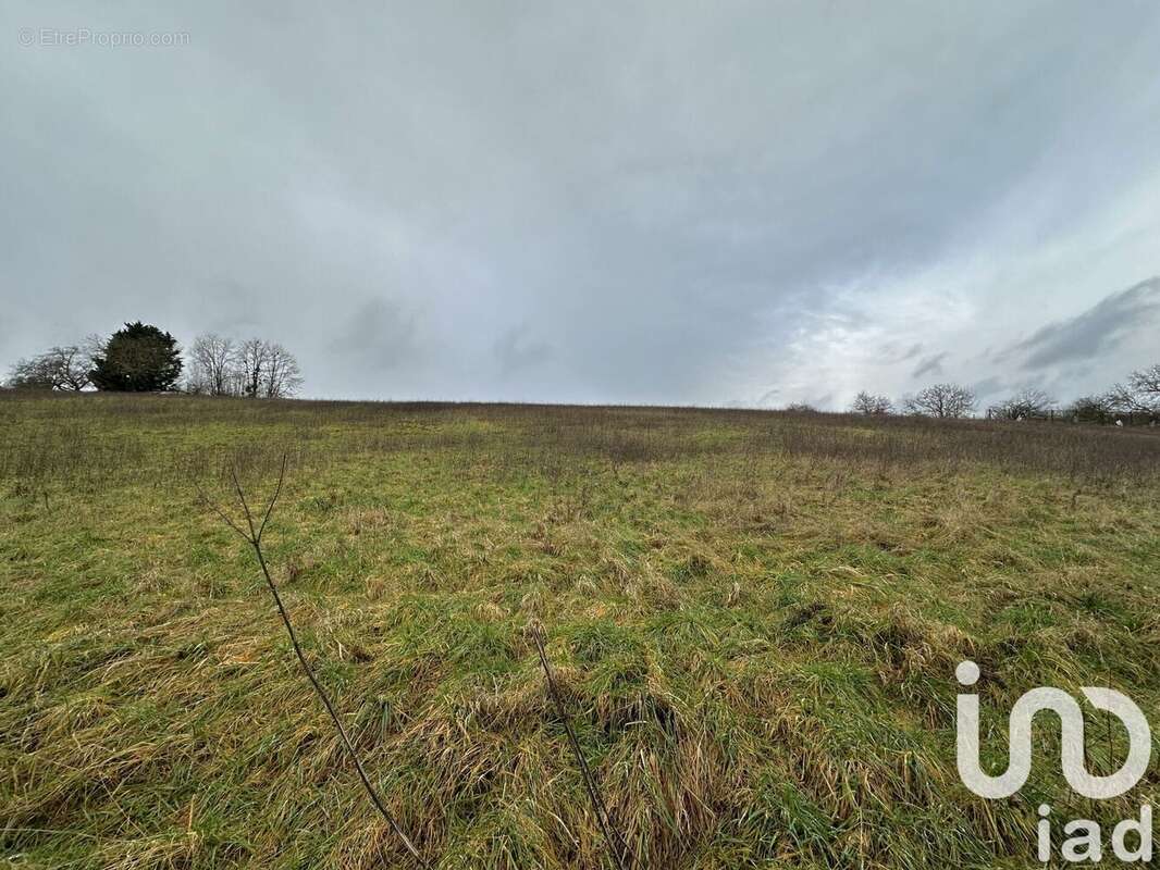 Photo 3 - Terrain à COURTENAY