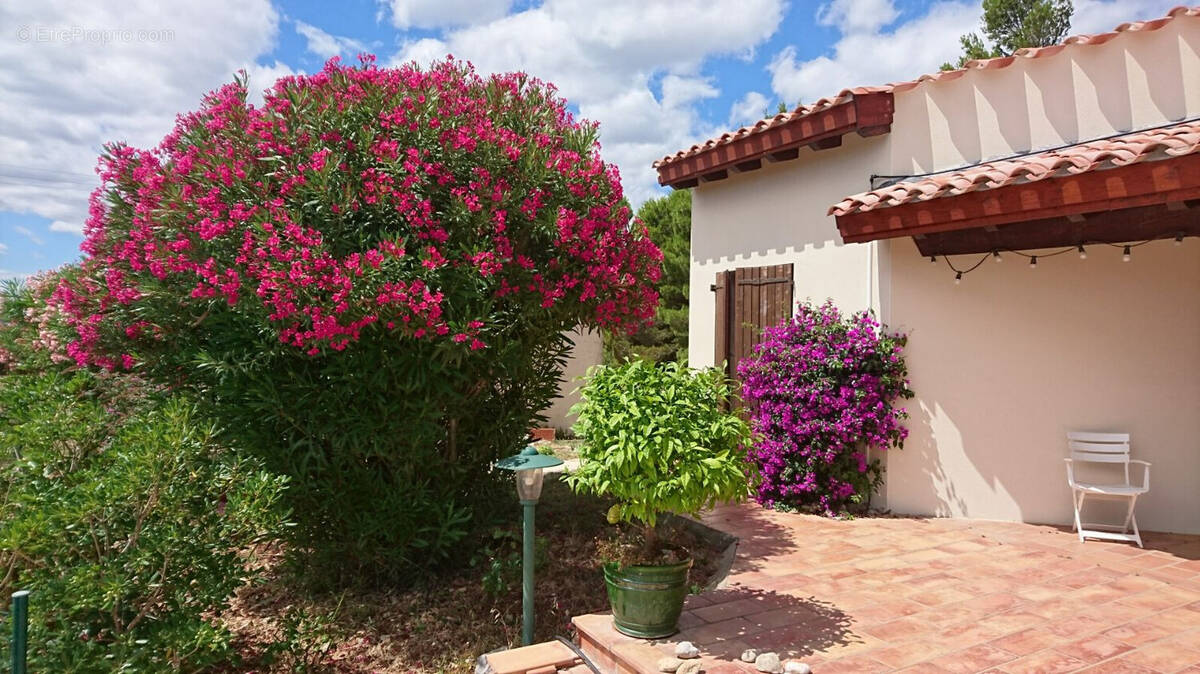 Maison à LA PALME