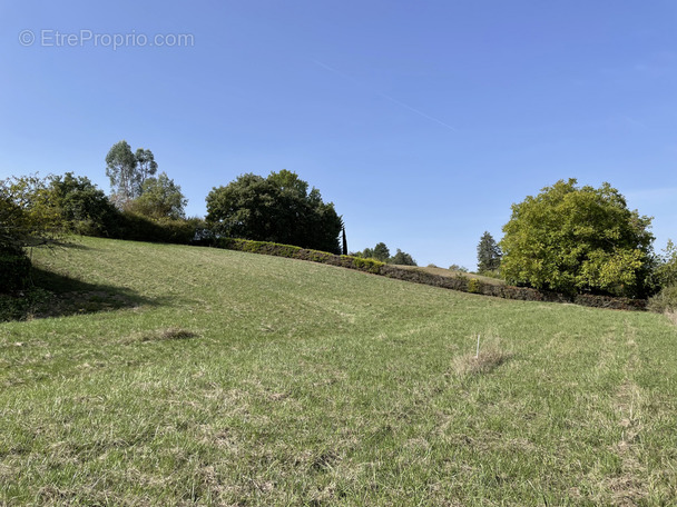 Terrain à PAVIE