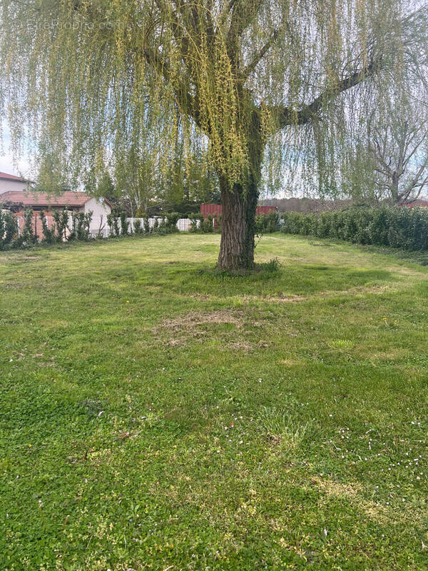Maison à AUBIE-ET-ESPESSAS
