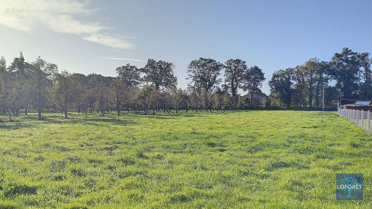 Terrain à EPAIGNES