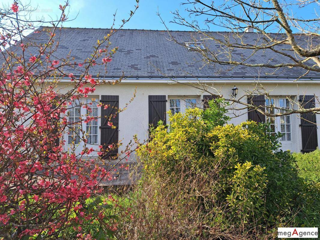 Maison à BLAIN