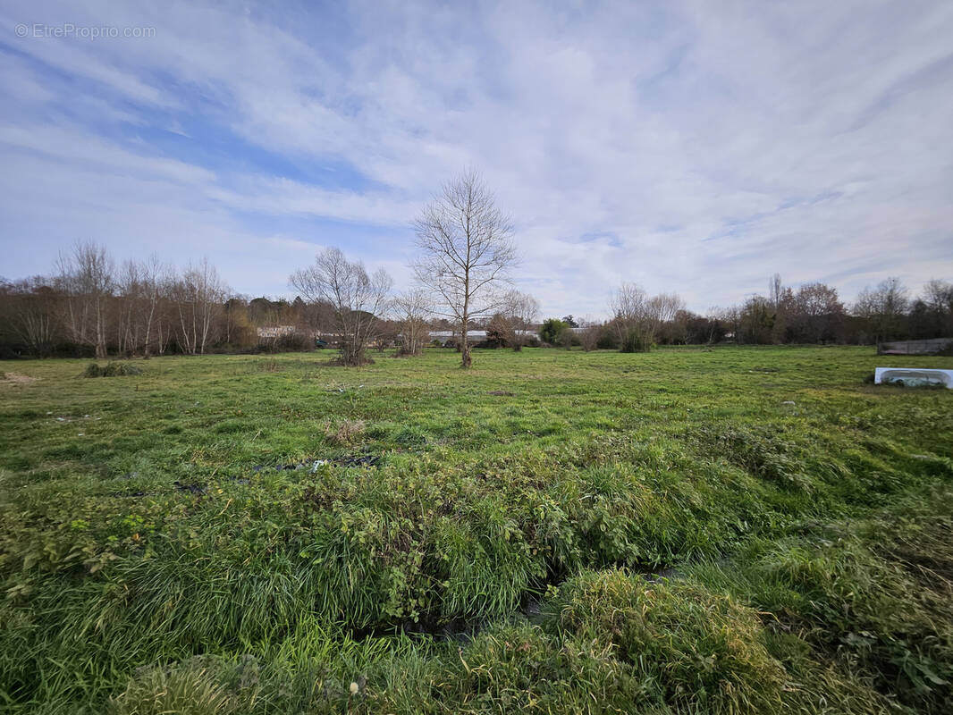 Terrain à PAMIERS