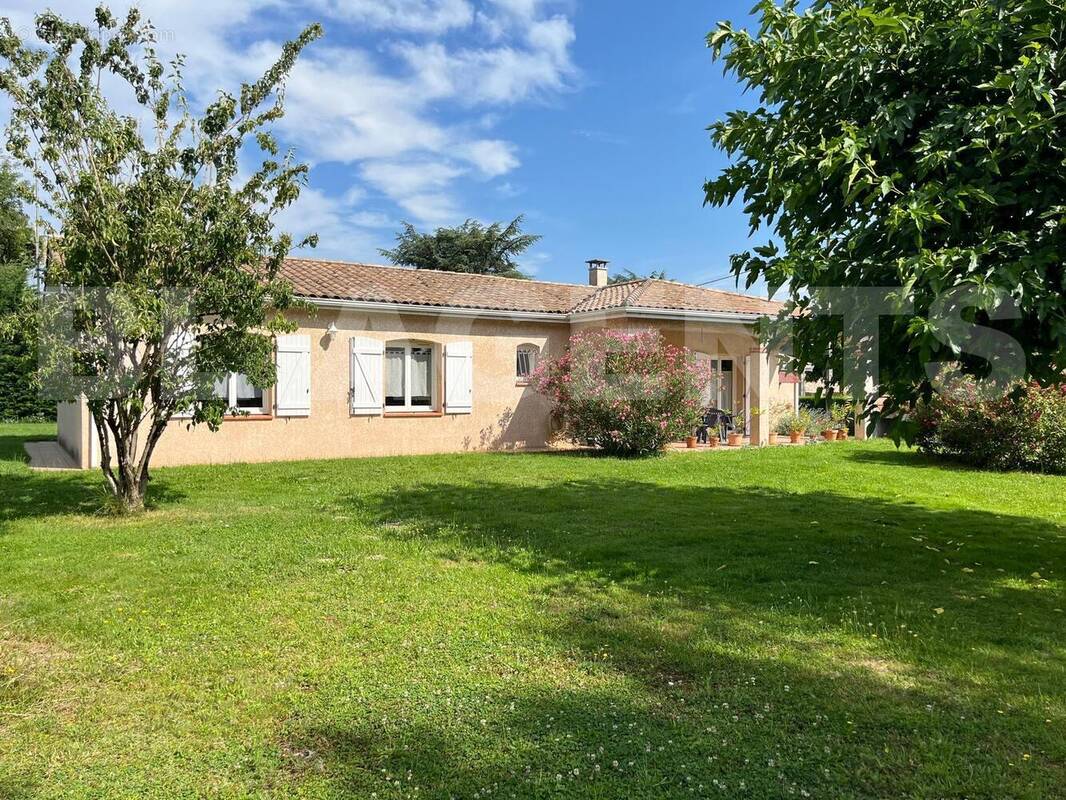 3cc9b43c-1290-41cf-a832-8d68df29157f - Maison à MONTAUBAN